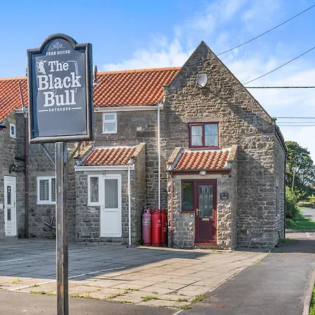 Black Bull